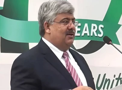 tax revenue stagnant at 2008 levels fbr chairman