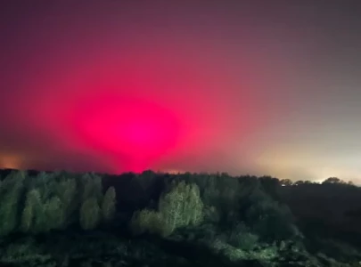 suffolk resident mistakes tomato factory glow for aurora borealis