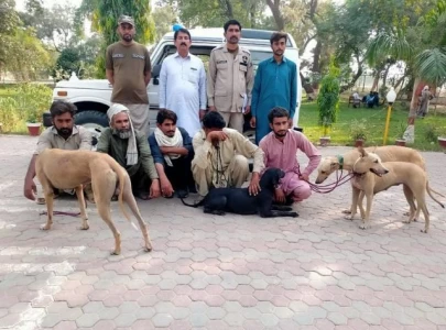 17 poachers arrested in punjab s crackdown on illegal wildlife trade