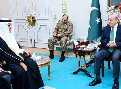 pm shehbaz meets saudi deputy interior minister highlights historic ties