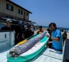 mysterious doomsday fish washes up on california beach