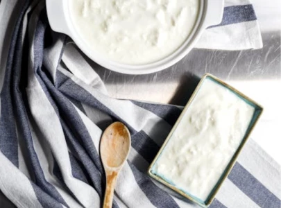 scientists in denmark create yogurt using ants