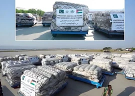 pakistan s 13th consignment of humanitarian aid heads to gaza lebanon