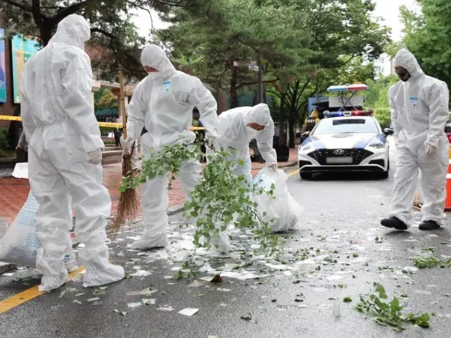 north korean trash balloon hits seoul s presidential compound