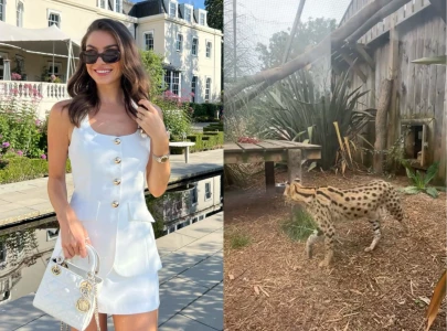 viral tiktok by sophie knight shows hidden zoo behind kent pub