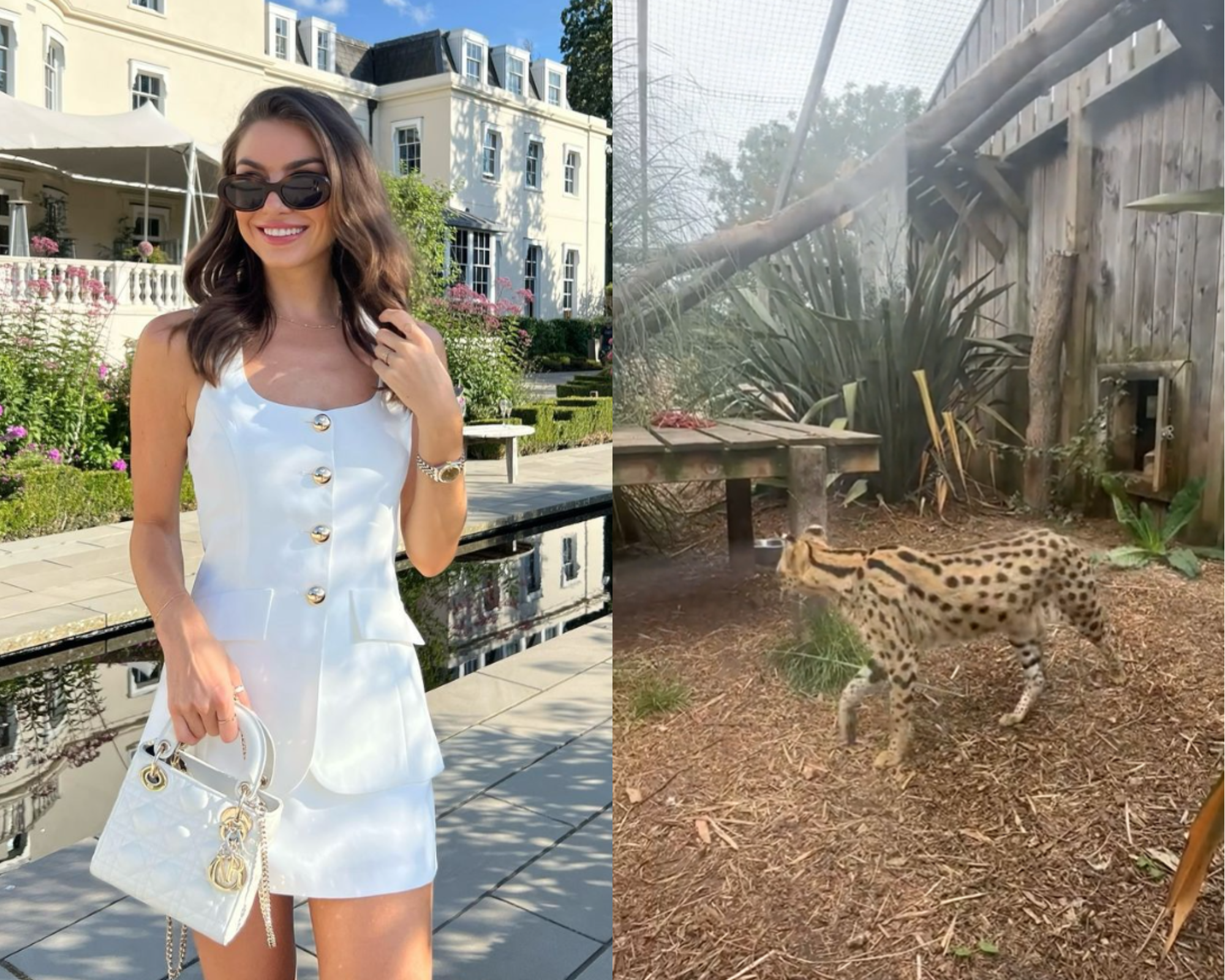 Viral TikTok by Sophie Knight shows hidden zoo behind Kent Pub