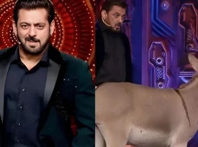 donkey removed from bigg boss 18 following peta s allegations