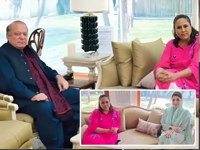 indian journalist barkha dutt meets nawaz sharif and cm maryam nawaz