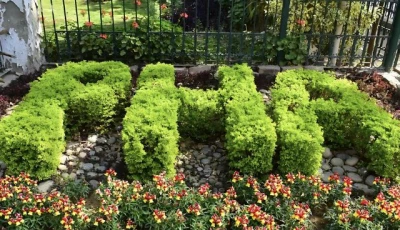 adiala public park project launched