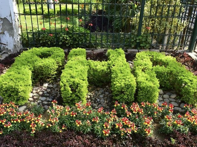 pha beautifies green belts for sco summit