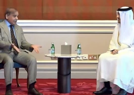 pm shehbaz meets qatari pm to strengthen trade and investment ties