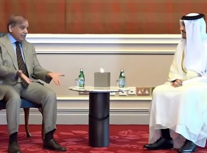 pm shehbaz meets qatari pm to strengthen trade and investment ties