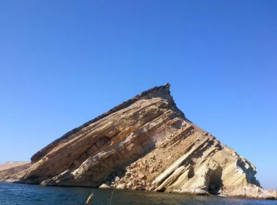 churna island biodiversity hotspot in danger