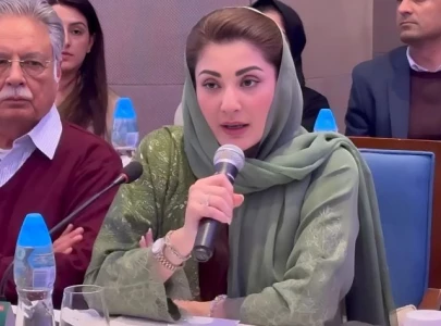 cm punjab maryam nawaz leads punjab investment drive in guangzhou