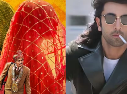 laapataa ladies beats animal on netflix