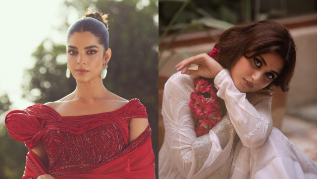 that should be the end of zara for all of us pakistani celebs slam fashion label post controversy