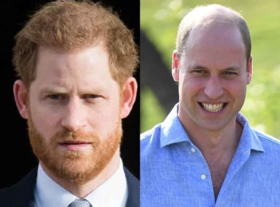 prince william s influence led harry into risky behaviour his memoir spare reveals