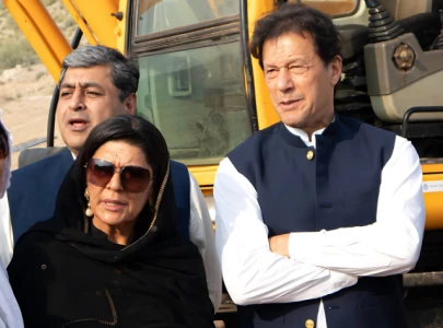 imran khan s sister aleema khan enters politics vows to campaign for pti founder s release