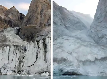 greenland landslide shaked earth for nine days scientists baffled