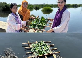 karachi s floating wetlands university students innovate for water quality and climate resilience