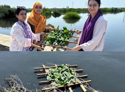 karachi s floating wetlands university students innovate for water quality and climate resilience