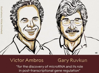 american scientists win 2024 nobel prize for gene research on microrna