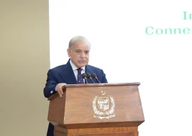 buna raast pm shehbaz launches project to facilitate remittances from arab countries