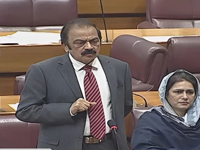 system cannot run until government and opposition hold talks rana sanaullah