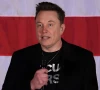 elon musk s waste gov site shut down after wordpress template discovery