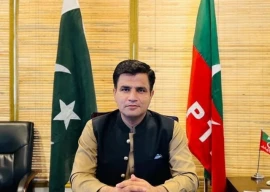 ihc prohibits authorities from arresting pti s naeem panjutha