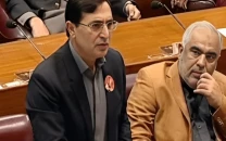 pti s barrister gohar slams federal budget as disappointing