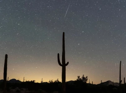 year s brightest meteor shower geminids peaks tonight