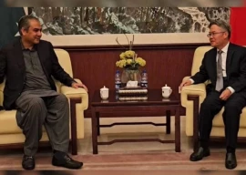 ensuring security of chinese nationals govt s top priority mohsin naqvi