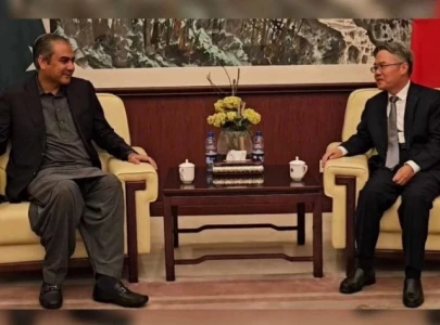 ensuring security of chinese nationals govt s top priority mohsin naqvi