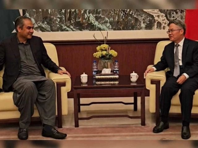 ensuring security of chinese nationals govt s top priority mohsin naqvi