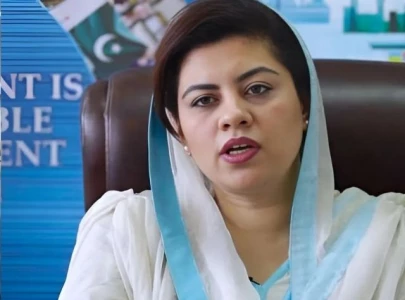 pti preparing for november 24 protest there will be no deal kanwal shauzab