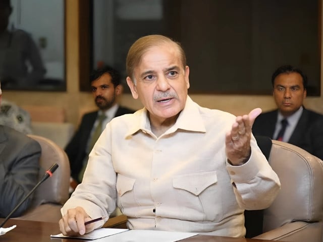 pm shahbaz reaffirms commitment to strengthen smes in pakistan