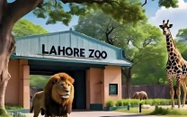 lahore zoo adds rare animal sculptures lahore zoo adds rare animal sculptures