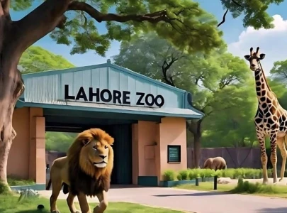 lahore zoo adds rare animal sculptures lahore zoo adds rare animal sculptures