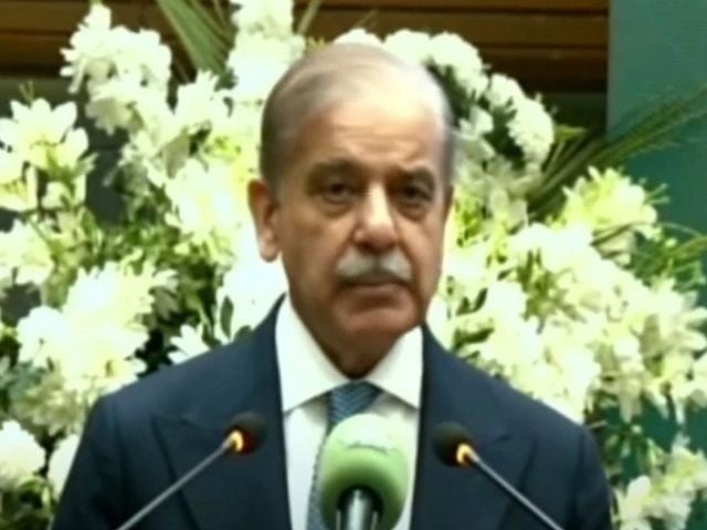 Pakistan to honour IMF commitments, but excessive taxes unsustainable: PM Shehbaz