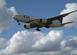 social media trolls pia over paris flight ad social media trolls pia over paris flight ad