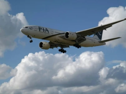 social media trolls pia over paris flight ad social media trolls pia over paris flight ad