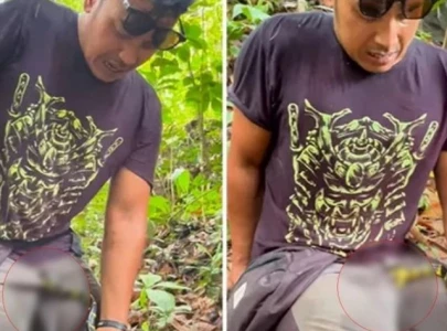 watch snake bites influencer in private parts
