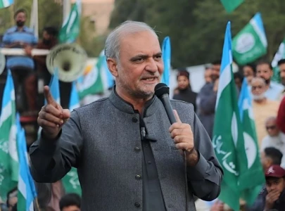 hafiz naeem warns government against failure to rein in ipps