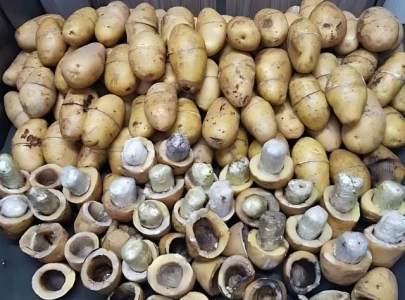 suspect arrested after recovery of heroin concealed in potatoes at karachi port suspect arrested after recovery of heroin concealed in potatoes at karachi port