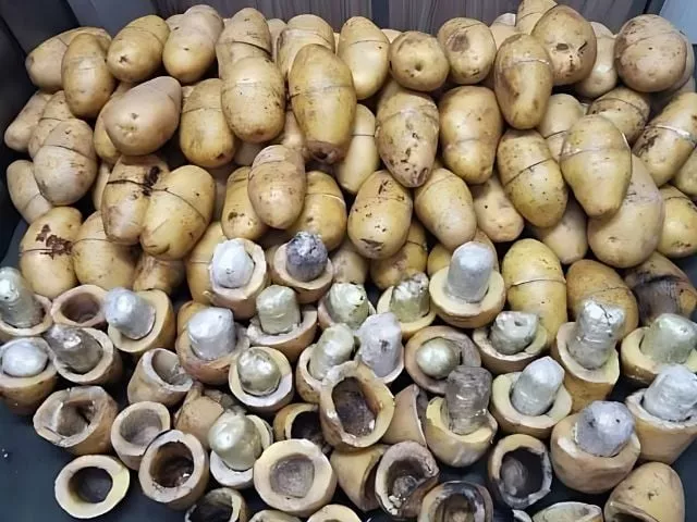 suspect arrested after recovery of heroin concealed in potatoes at karachi port suspect arrested after recovery of heroin concealed in potatoes at karachi port