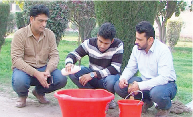 agriculture development new formula hopes to undo soil salinity agriculture development new formula hopes to undo soil salinity