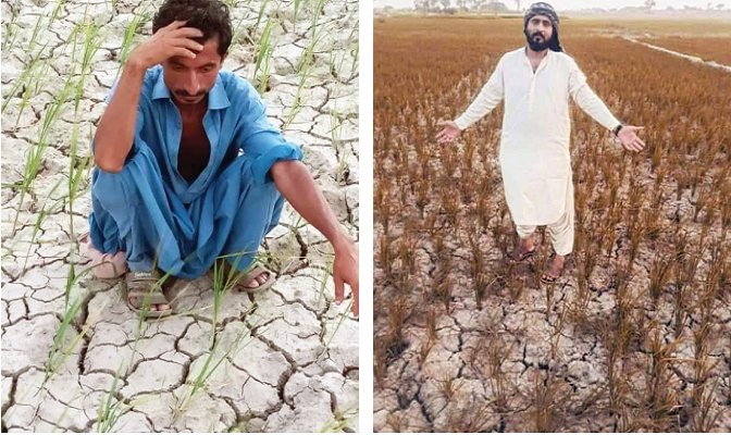 parched land with hopes of further rainfall waning farmers have abandoned attempts to grow kharif crops this season those who can afford to do so install diesel motors to pump water from drying tributaries photos express