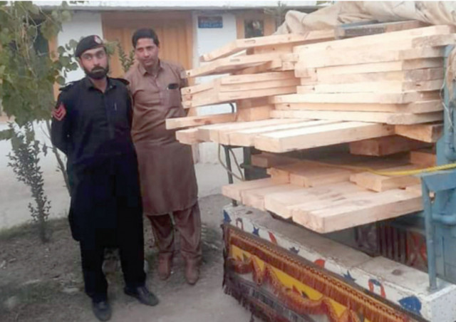 illegal felling forest fires and poor management have put tremendous pressure on the forests in dir and swat photos express illegal felling forest fires and poor management have put tremendous pressure on the forests in dir and swat photos express