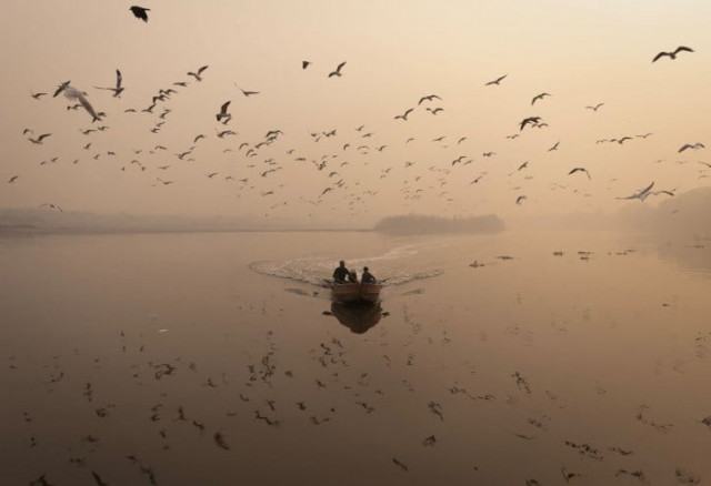 a man sails his boat amidst heavy smog in the yamuna river in the old quarters of delhi india november 4 2022 reuters adnan abidi a man sails his boat amidst heavy smog in the yamuna river in the old quarters of delhi india november 4 2022 reuters adnan abidi
